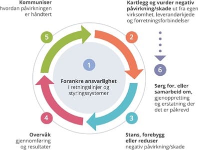 OECD, Aktsomhetshjulet